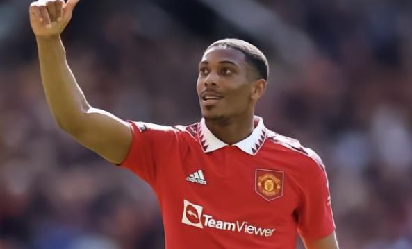 这种谦逊的 这种谦逊的