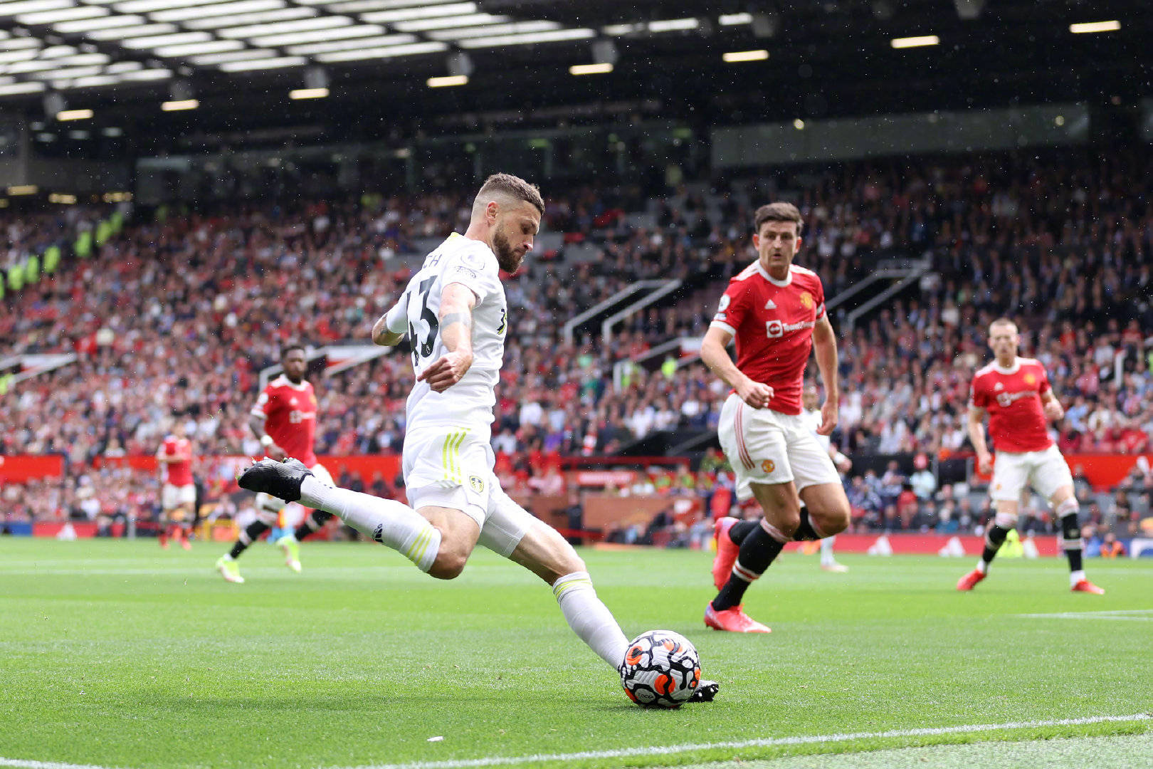 供宝贵的动 供宝贵的动